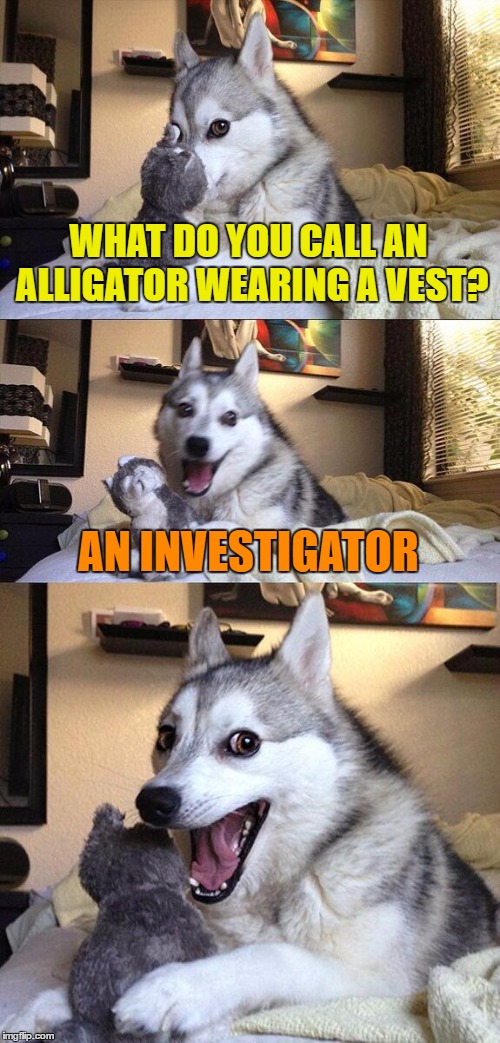 What do you call an alligator wearing a vest? | WHAT DO YOU CALL AN ALLIGATOR WEARING A VEST? AN INVESTIGATOR | image tagged in memes,bad pun dog,funny,funny memes,alligator,investigator | made w/ Imgflip meme maker