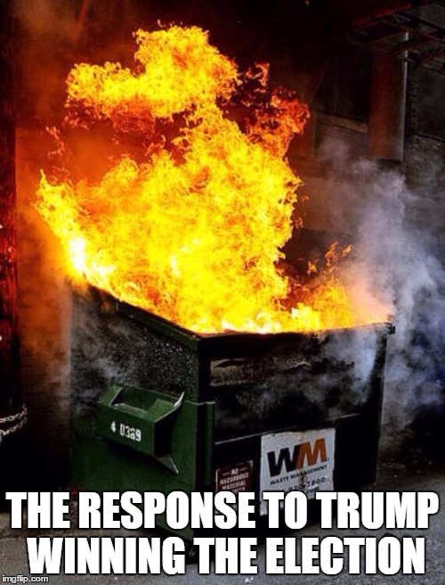Dumpster Fire | THE RESPONSE TO TRUMP WINNING THE ELECTION | image tagged in dumpster fire | made w/ Imgflip meme maker