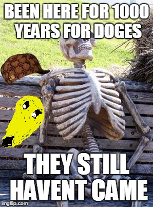 Waiting Skeleton | BEEN HERE FOR 1000 YEARS FOR DOGES; THEY STILL HAVENT CAME | image tagged in memes,waiting skeleton,scumbag | made w/ Imgflip meme maker