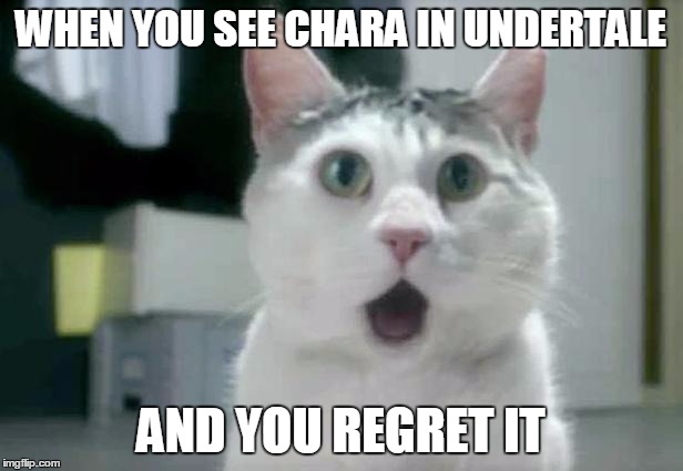 OMG Cat | WHEN YOU SEE CHARA IN UNDERTALE; AND YOU REGRET IT | image tagged in memes,omg cat | made w/ Imgflip meme maker