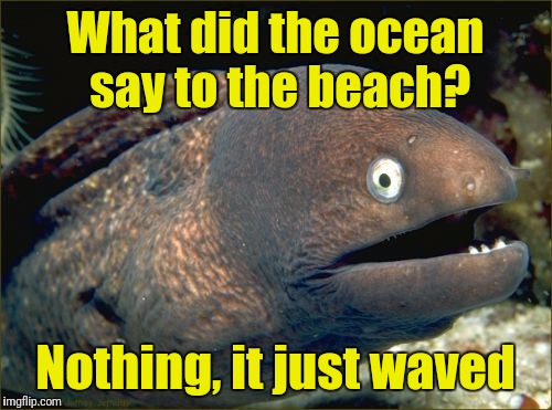 Bad Joke Eel | What did the ocean say to the beach? Nothing, it just waved | image tagged in memes,bad joke eel | made w/ Imgflip meme maker
