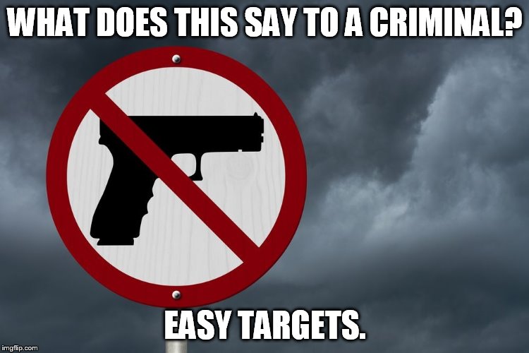 WHAT DOES THIS SAY TO A CRIMINAL? EASY TARGETS. | image tagged in gun control | made w/ Imgflip meme maker