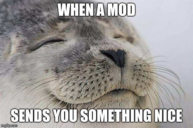How it feels | WHEN A MOD; SENDS YOU SOMETHING NICE | image tagged in memes,satisfied seal,feels good man,i love it here | made w/ Imgflip meme maker