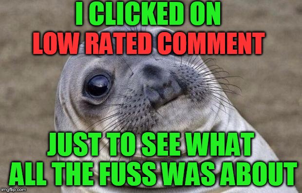 Awkward Moment Sealion | I CLICKED ON; LOW RATED COMMENT; JUST TO SEE WHAT ALL THE FUSS WAS ABOUT | image tagged in memes,awkward moment sealion | made w/ Imgflip meme maker
