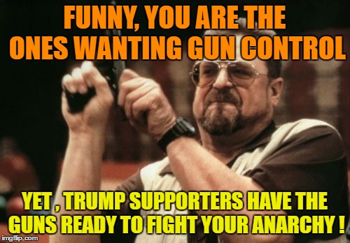 Am I The Only One Around Here Meme | FUNNY, YOU ARE THE ONES WANTING GUN CONTROL YET , TRUMP SUPPORTERS HAVE THE GUNS READY TO FIGHT YOUR ANARCHY ! | image tagged in memes,am i the only one around here | made w/ Imgflip meme maker