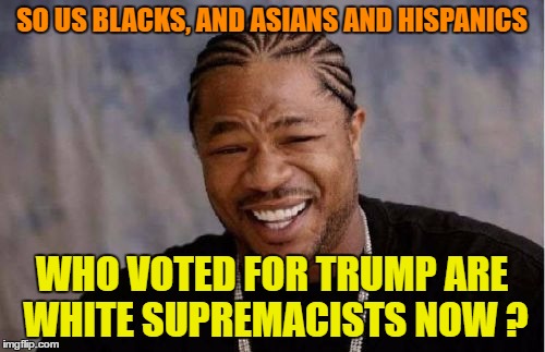 Yo Dawg Heard You Meme | SO US BLACKS, AND ASIANS AND HISPANICS WHO VOTED FOR TRUMP ARE WHITE SUPREMACISTS NOW ? | image tagged in memes,yo dawg heard you | made w/ Imgflip meme maker