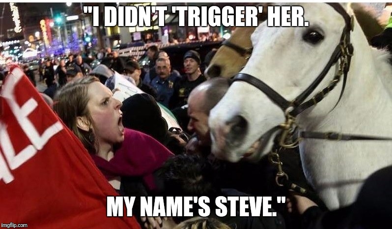 That's a good way to make yourself hoarse... | "I DIDN'T 'TRIGGER' HER. MY NAME'S STEVE." | image tagged in horse,protesters,angry woman,triggered | made w/ Imgflip meme maker