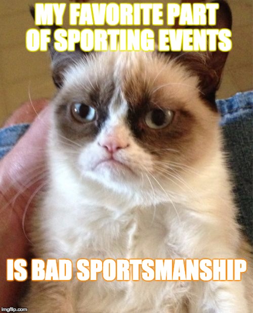 Grumpy Cat Meme | MY FAVORITE PART OF SPORTING EVENTS; IS BAD SPORTSMANSHIP | image tagged in memes,grumpy cat | made w/ Imgflip meme maker