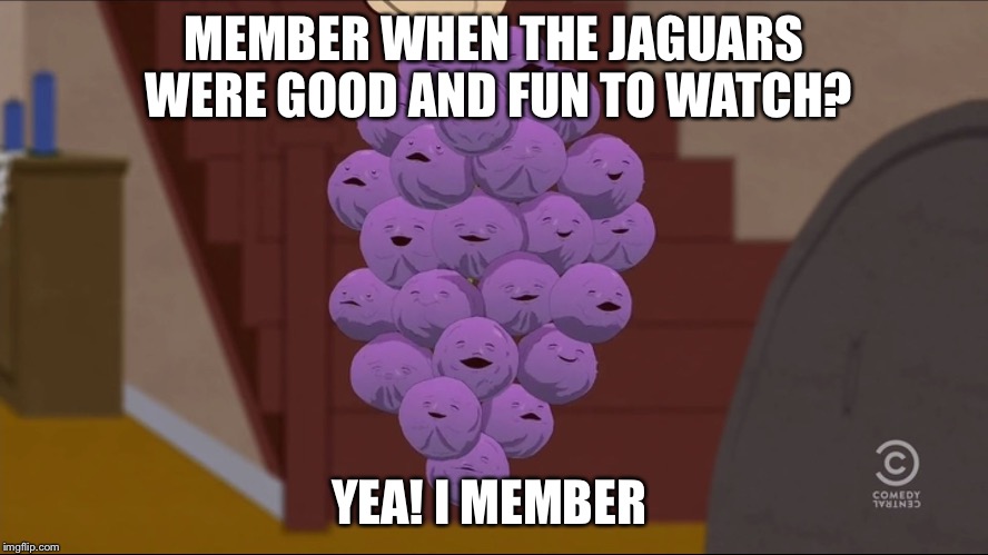 Member Berries | MEMBER WHEN THE JAGUARS WERE GOOD AND FUN TO WATCH? YEA! I MEMBER | image tagged in memes,member berries | made w/ Imgflip meme maker