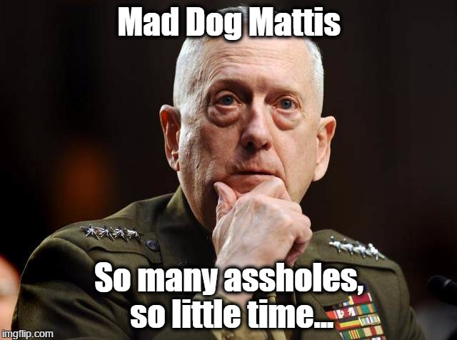 James "Mad Dog" Mattis | Mad Dog Mattis; So many assholes, so little time... | image tagged in so many assholes so little time | made w/ Imgflip meme maker