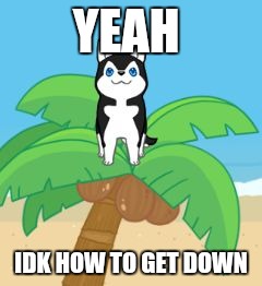 YEAH; IDK HOW TO GET DOWN | image tagged in help | made w/ Imgflip meme maker
