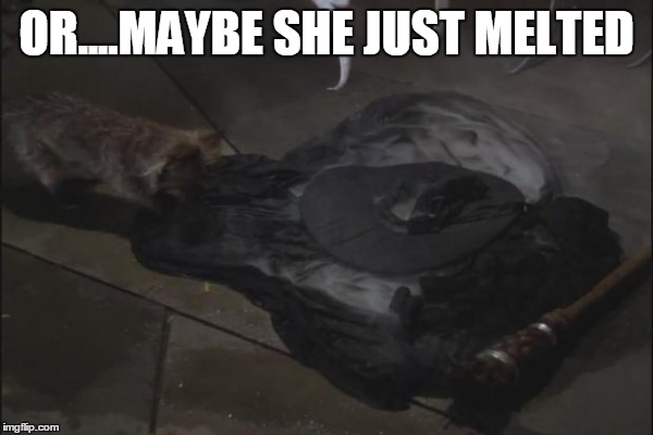 OR....MAYBE SHE JUST MELTED | made w/ Imgflip meme maker