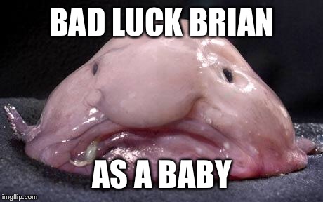 Blobfish | BAD LUCK BRIAN; AS A BABY | image tagged in blobfish | made w/ Imgflip meme maker