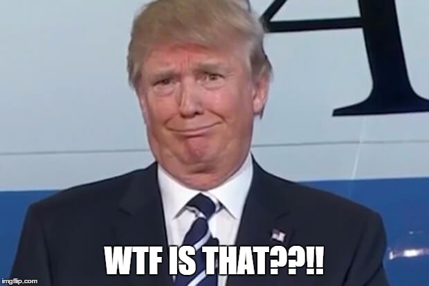 donald trump |  WTF IS THAT??!! | image tagged in donald trump | made w/ Imgflip meme maker