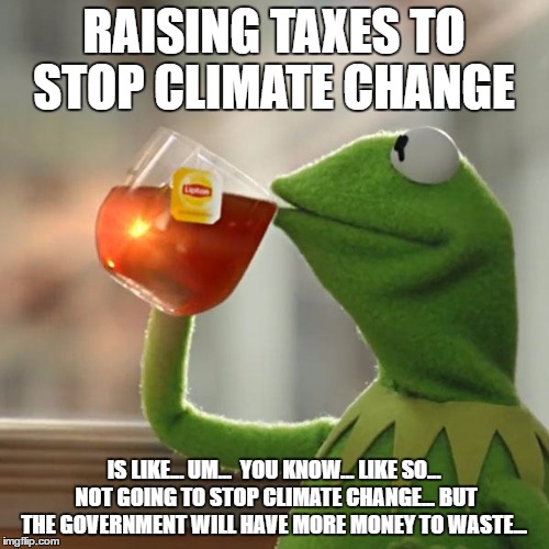 But That's None Of My Business Meme | RAISING TAXES TO STOP CLIMATE CHANGE IS LIKE... UM...  YOU KNOW... LIKE SO... NOT GOING TO STOP CLIMATE CHANGE... BUT THE GOVERNMENT WILL HA | image tagged in memes,but thats none of my business,kermit the frog | made w/ Imgflip meme maker