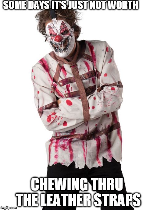 I know the feeling | SOME DAYS IT'S JUST NOT WORTH; CHEWING THRU THE LEATHER STRAPS | image tagged in clowns | made w/ Imgflip meme maker