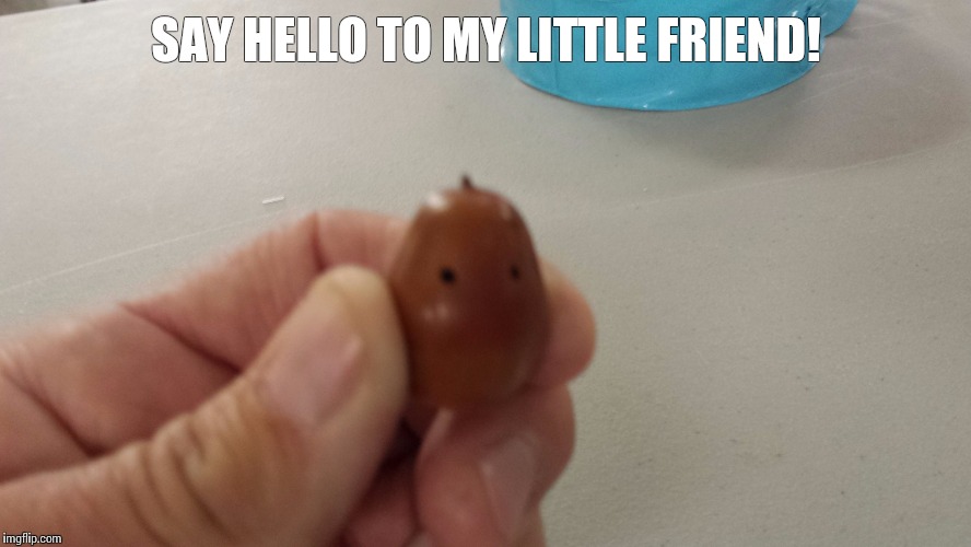 I have a little friend | SAY HELLO TO MY LITTLE FRIEND! | image tagged in al pacino | made w/ Imgflip meme maker