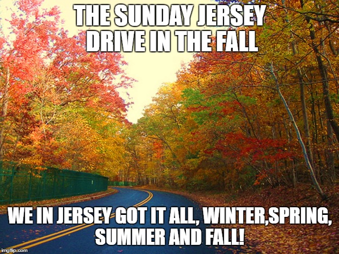 Jersey Fall  | THE SUNDAY JERSEY DRIVE IN THE FALL; WE IN JERSEY GOT IT ALL, WINTER,SPRING, SUMMER AND FALL! | image tagged in urhome,newjerseymemorypage,lisa payne | made w/ Imgflip meme maker