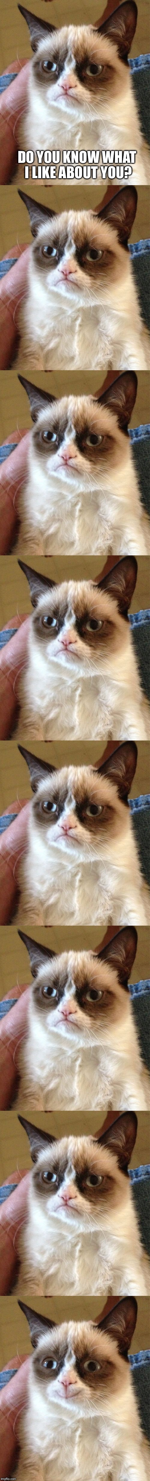 Grumpy Cat | DO YOU KNOW WHAT I LIKE ABOUT YOU? | image tagged in memes,grumpy cat | made w/ Imgflip meme maker