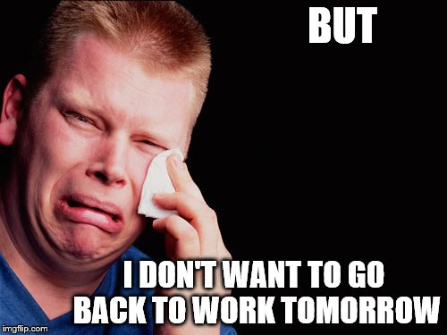crying man | BUT; I DON'T WANT TO GO BACK TO WORK TOMORROW | image tagged in crying man | made w/ Imgflip meme maker