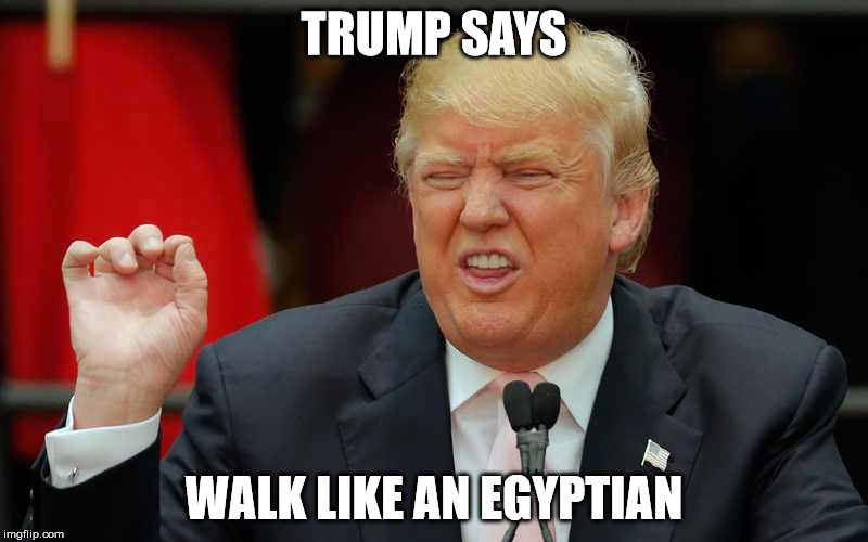 TRUMP SAYS; WALK LIKE AN EGYPTIAN | made w/ Imgflip meme maker