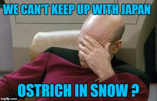 Captain Picard Facepalm Meme | WE CAN'T KEEP UP WITH JAPAN OSTRICH IN SNOW ? | image tagged in memes,captain picard facepalm | made w/ Imgflip meme maker