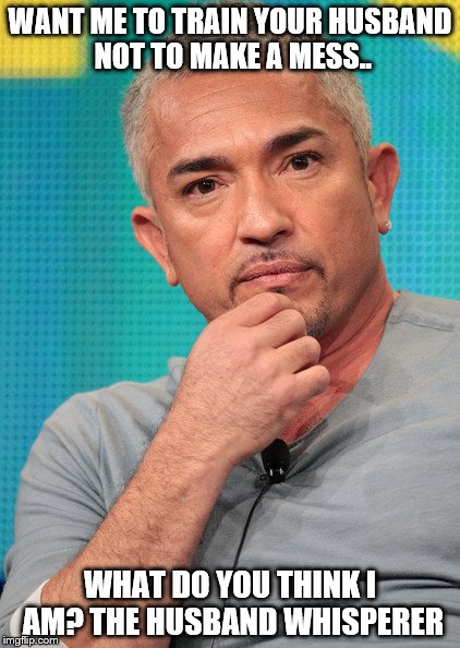 Confused Cesar Millan | WANT ME TO TRAIN YOUR HUSBAND NOT TO MAKE A MESS.. WHAT DO YOU THINK I AM? THE HUSBAND WHISPERER | image tagged in confused cesar millan | made w/ Imgflip meme maker