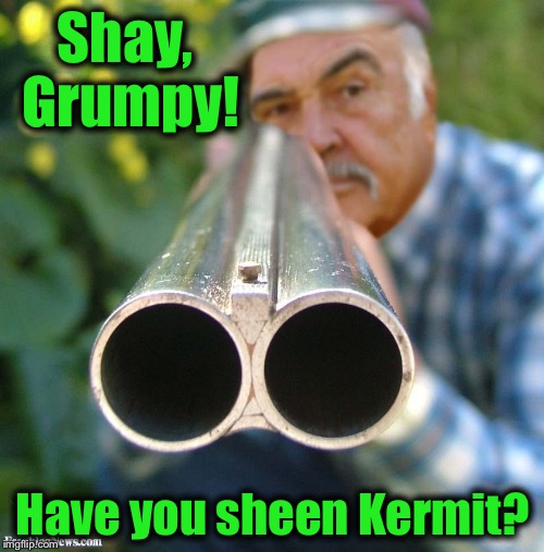 Connery 12 Gau. | Shay, Grumpy! Have you sheen Kermit? | image tagged in connery 12 gau | made w/ Imgflip meme maker