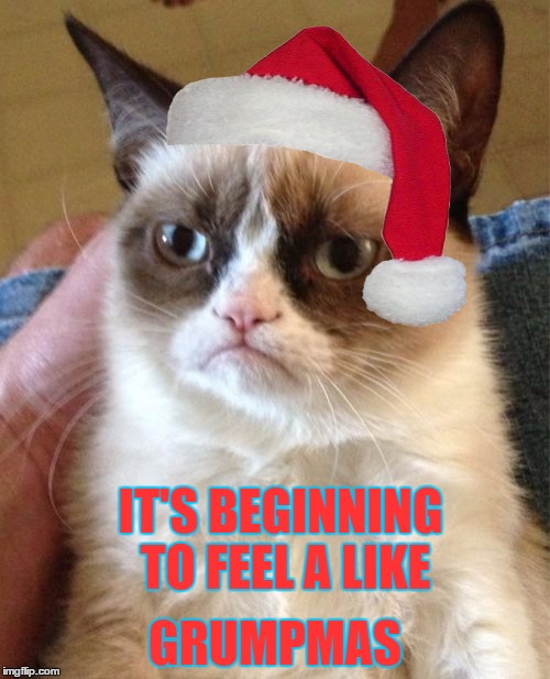 Grumpy Cat | IT'S BEGINNING TO FEEL A LIKE; GRUMPMAS | image tagged in memes,grumpy cat | made w/ Imgflip meme maker