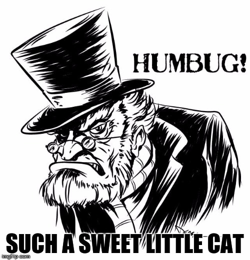 SUCH A SWEET LITTLE CAT | made w/ Imgflip meme maker