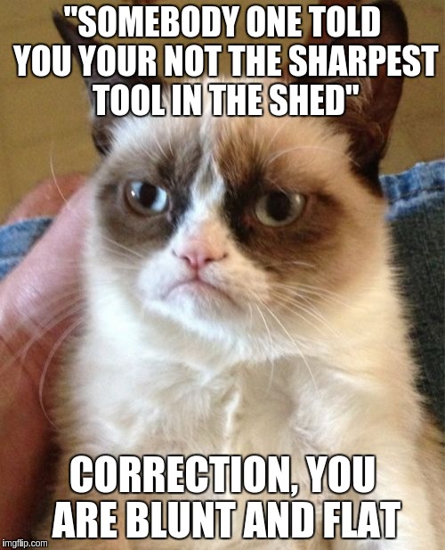 Grumpy Cat Meme | "SOMEBODY ONE TOLD YOU YOUR NOT THE SHARPEST TOOL IN THE SHED"; CORRECTION, YOU ARE BLUNT AND FLAT | image tagged in memes,grumpy cat | made w/ Imgflip meme maker