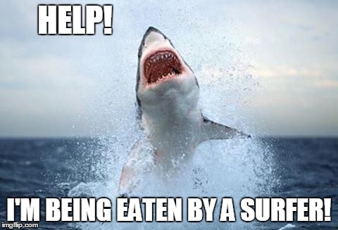 HELP! I'M BEING EATEN BY A SURFER! | image tagged in funny | made w/ Imgflip meme maker