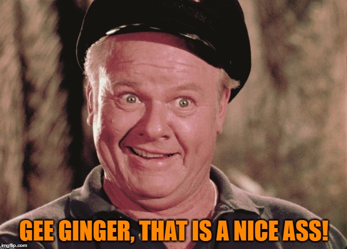 Nice ass Ginger! | GEE GINGER, THAT IS A NICE ASS! | image tagged in gilligan's island,the skipper,ginger,nice ass | made w/ Imgflip meme maker