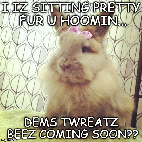 Soon? | I IZ SITTING PRETTY FUR U HOOMIN... DEMS TWREATZ BEEZ COMING SOON?? | image tagged in memes | made w/ Imgflip meme maker