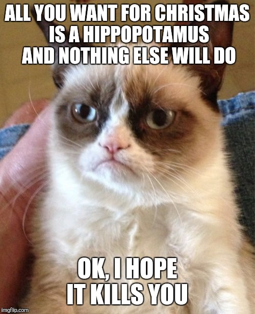 Hate that song | ALL YOU WANT FOR CHRISTMAS IS A HIPPOPOTAMUS AND NOTHING ELSE WILL DO; OK, I HOPE IT KILLS YOU | image tagged in memes,grumpy cat | made w/ Imgflip meme maker