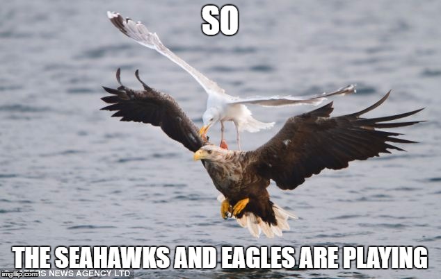 That game so far though |  SO; THE SEAHAWKS AND EAGLES ARE PLAYING | image tagged in football,philadelphia eagles,seattle seahawks,funny,not actually funny,is it funny i don't know anymore | made w/ Imgflip meme maker