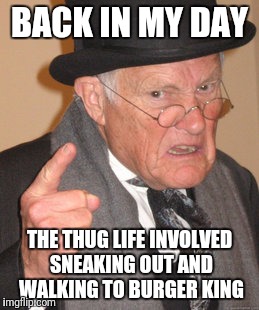 Back In My Day Meme | BACK IN MY DAY THE THUG LIFE INVOLVED SNEAKING OUT AND WALKING TO BURGER KING | image tagged in memes,back in my day | made w/ Imgflip meme maker