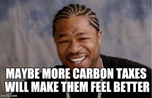 Yo Dawg Heard You Meme | MAYBE MORE CARBON TAXES WILL MAKE THEM FEEL BETTER | image tagged in memes,yo dawg heard you | made w/ Imgflip meme maker