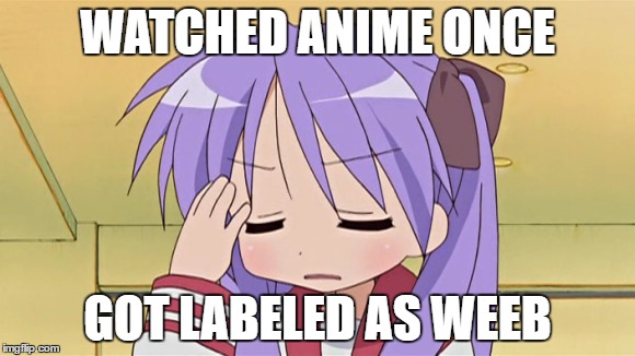 Weebed | WATCHED ANIME ONCE; GOT LABELED AS WEEB | image tagged in memes | made w/ Imgflip meme maker