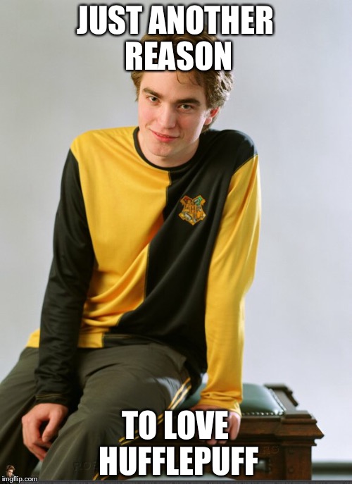 Another reason to love hufflepuff | JUST ANOTHER REASON; TO LOVE HUFFLEPUFF | image tagged in harry potter meme,hufflepuff | made w/ Imgflip meme maker