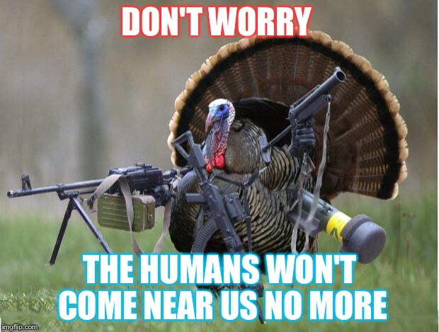 turkey | DON'T WORRY; THE HUMANS WON'T COME NEAR US NO MORE | image tagged in turkey | made w/ Imgflip meme maker