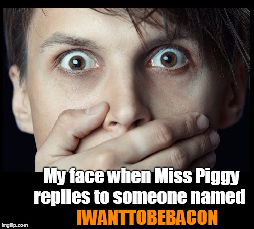 oh my | IWANTTOBEBACON My face when Miss Piggy replies to someone named | image tagged in oh my | made w/ Imgflip meme maker
