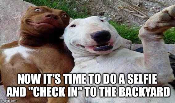 NOW IT'S TIME TO DO A SELFIE AND "CHECK IN" TO THE BACKYARD | made w/ Imgflip meme maker