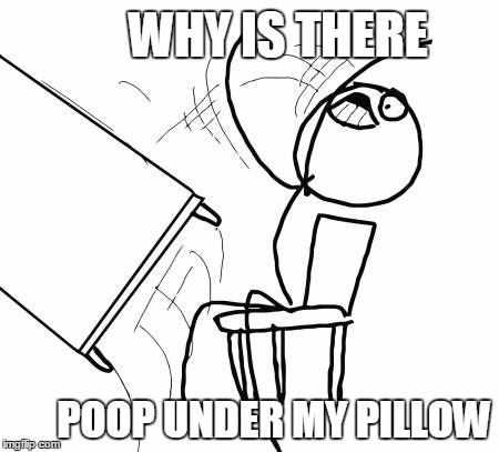 Table Flip Guy Meme | WHY IS THERE; POOP UNDER MY PILLOW | image tagged in memes,table flip guy | made w/ Imgflip meme maker