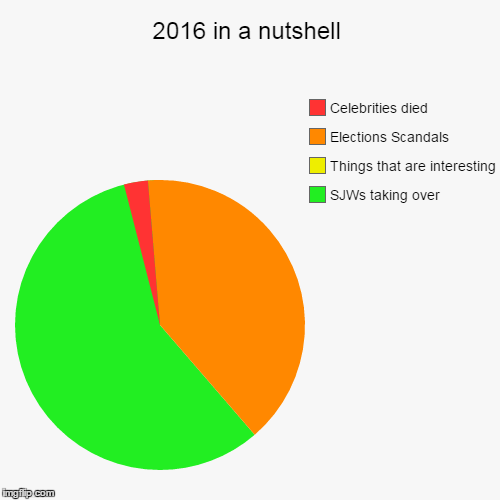 2016 | image tagged in pie charts,news,sjws | made w/ Imgflip chart maker