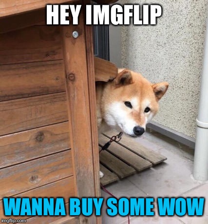 Raydog be like | HEY IMGFLIP; WANNA BUY SOME WOW | image tagged in memes,raydog,doge,wow | made w/ Imgflip meme maker