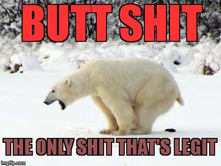 Polar Bear Shits in the Snow | BUTT SHIT; THE ONLY SHIT THAT'S LEGIT | image tagged in polar bear shits in the snow | made w/ Imgflip meme maker