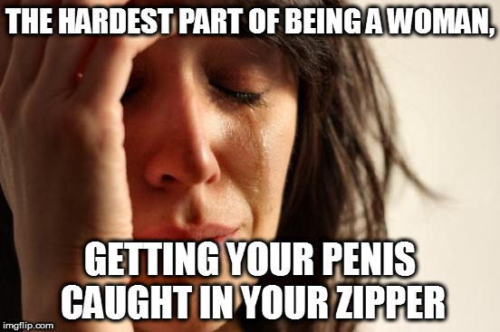 First World Problems Meme | THE HARDEST PART OF BEING A WOMAN, GETTING YOUR P**IS CAUGHT IN YOUR ZIPPER | image tagged in memes,first world problems | made w/ Imgflip meme maker