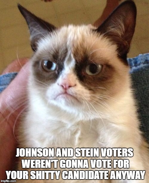 Third Party Voters |  JOHNSON AND STEIN VOTERS WEREN'T GONNA VOTE FOR YOUR SHITTY CANDIDATE ANYWAY | image tagged in memes,grumpy cat,libertarian,green party,gary johnson,clinton | made w/ Imgflip meme maker