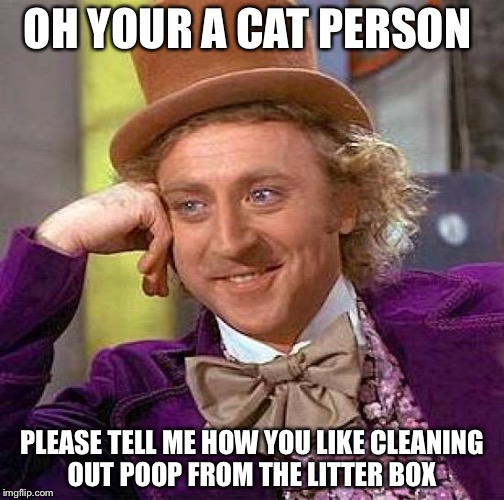 Creepy Condescending Wonka Meme | OH YOUR A CAT PERSON; PLEASE TELL ME HOW YOU LIKE CLEANING OUT POOP FROM THE LITTER BOX | image tagged in memes,creepy condescending wonka | made w/ Imgflip meme maker